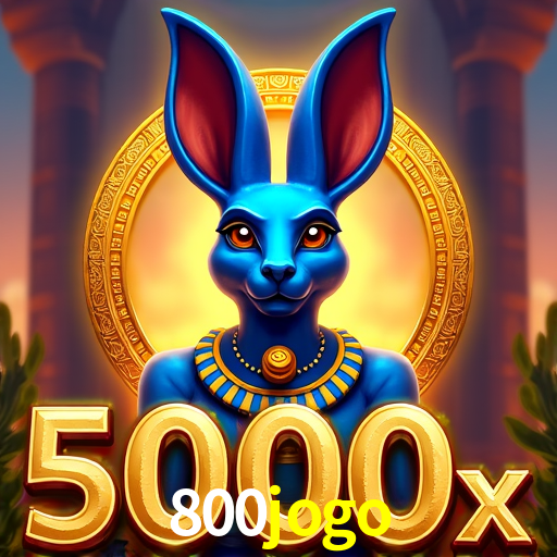 A Emoção da Loteria na 800jogo: Uma Chance de Mudança de Vida